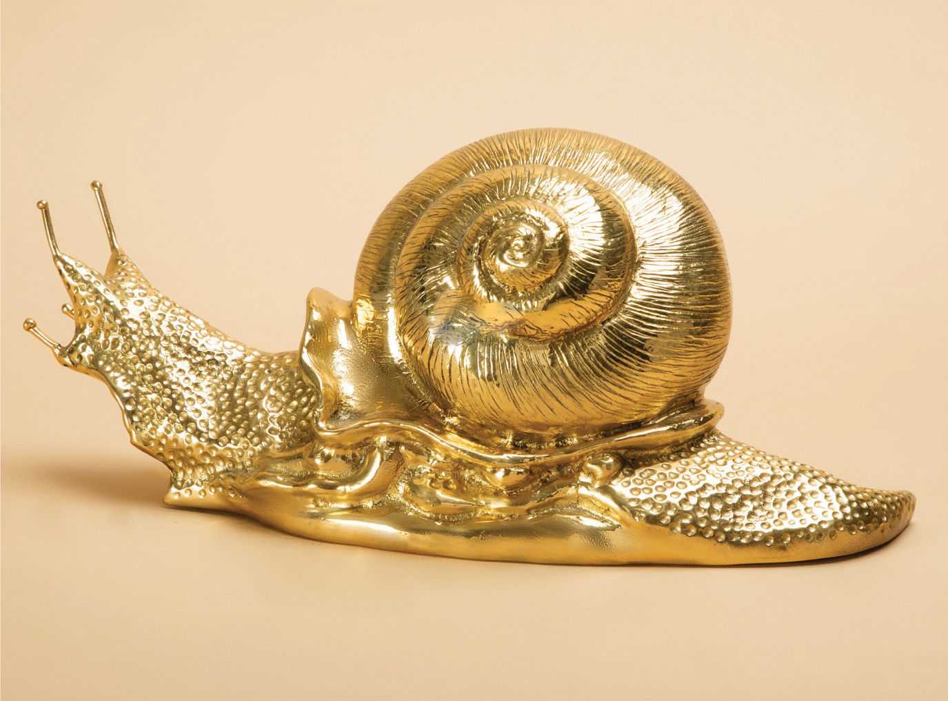 Brassy Snail